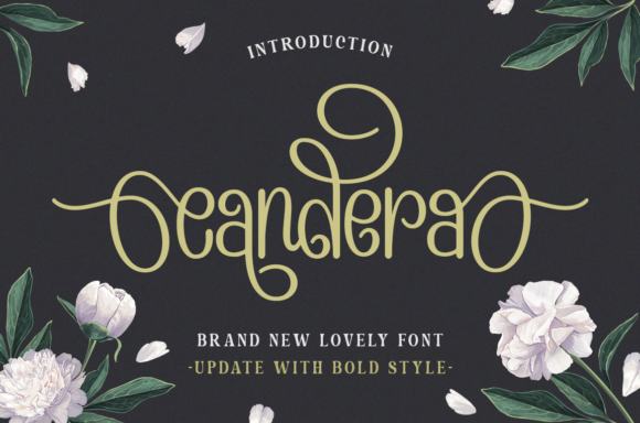 Candera: A Chic Display Font for Modern Web Design