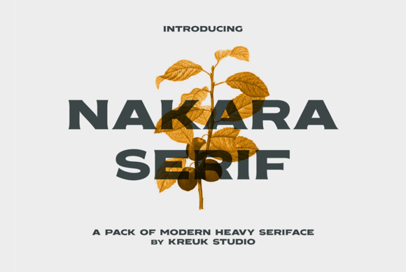 Nakara Serif for Bold Editorial Design
