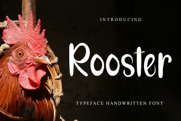 Rooster Font for Branding That Feels Fresh and Friendly